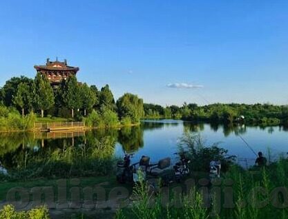 糖心vlog在线资源-糖心vlog在线资源的魅力，解密生活方式和创意分享的无穷潜力