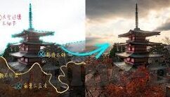 www.麻豆av在线-探寻网络内容的多样性与健康性——以麻豆av为镜
